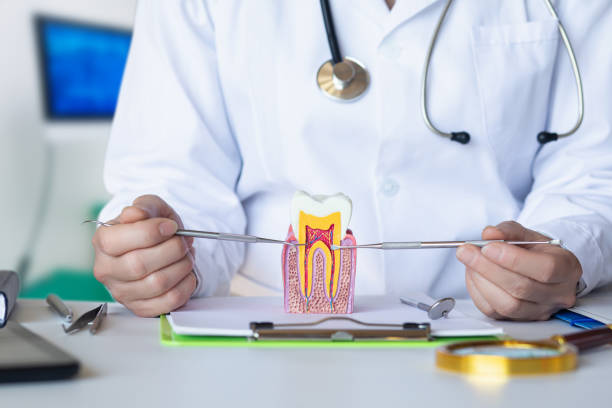 Best Emergency Root Canal Treatment in Clearwater, FL